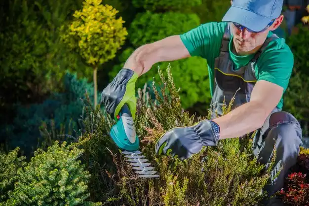 landscaping services Benoit